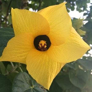 Meet your Posher, Tamara